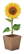 SUNFLOWER KIT Zonnebloem kweekset