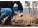 Pine Wood Fire Starter Tool - Wood