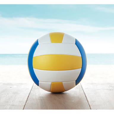 VOLLEY Volleybal