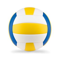 VOLLEY Volleybal