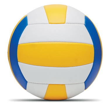 VOLLEY Volleybal