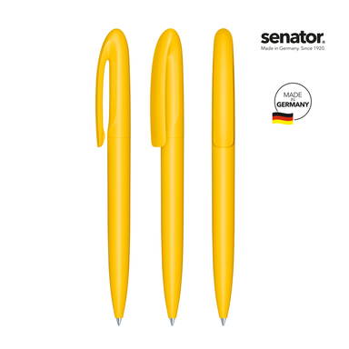 Senator Skeye Bio Matt Balpen