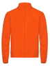 Signalorange