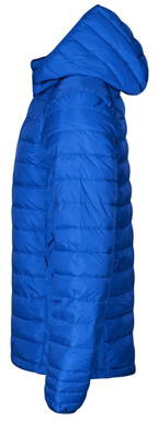 Clique Hudson 020976