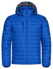 Clique Hudson 020976