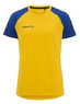 Sweden yellow/contrast blue