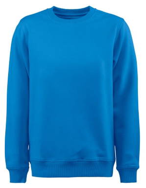 Printer Softball RsxSweater Unisex 2262048