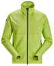 Lime - Limette