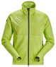 Lime - lime