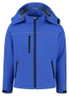 Bleu bleuet