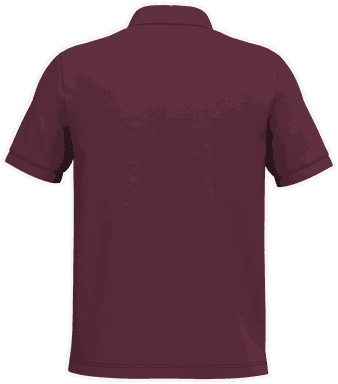 Classic polo - Vin