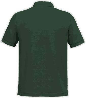 Classic polo - Vert forêt