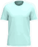 Eisminze