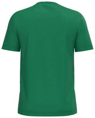 Basis-T-Shirt aus Bio-Baumwolle - Kellygrün