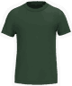 Vert forêt