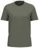 Bruyère marbre vert
