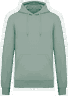 Salbei