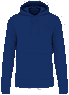 Echtes Indigo