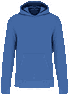 Light royal blue
