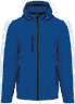 Dark royal blue