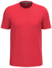 Rot