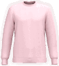 Rose pâle