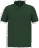Vert forêt