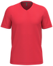 Rot