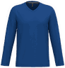 Bleu royal