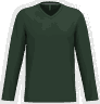 Vert forêt
