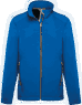 Bleu royal clair