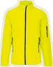 Fluorescent yellow
