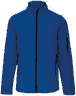 Dark royal blue