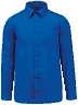 Light royal blue