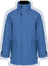 Light royal blue