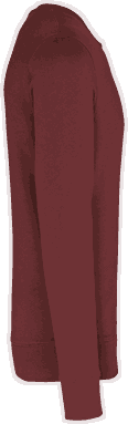 Basis eco sweater - Wine