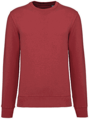 Basis eco sweater - Terracotta red