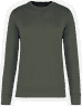 Dark khaki