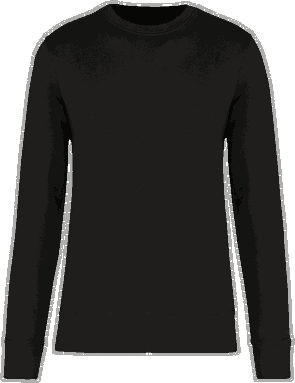Basis eco sweater - Black