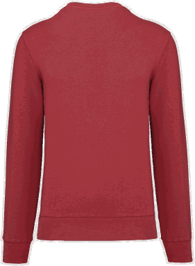Basis eco sweater - Terracotta red