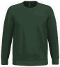 Vert forêt