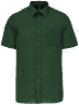 Forest green