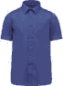 Cobalt blue