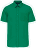 Kelly green
