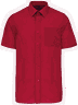 Classic red