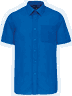 Light royal blue