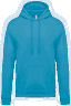 Hawaii blue