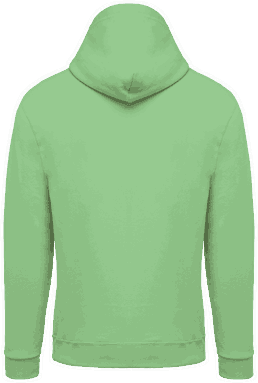 Basic hoodie - Apple green