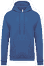 Light royal blue