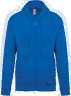Light royal blue